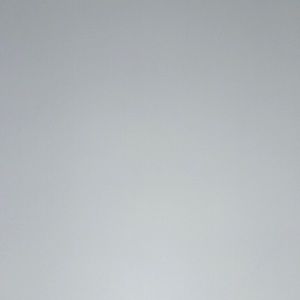 Meet your Posher, Samuel